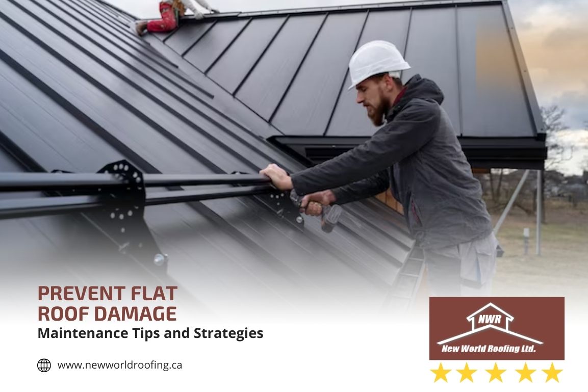 how to prevent flat roof damage: maintenance tips and strategies
